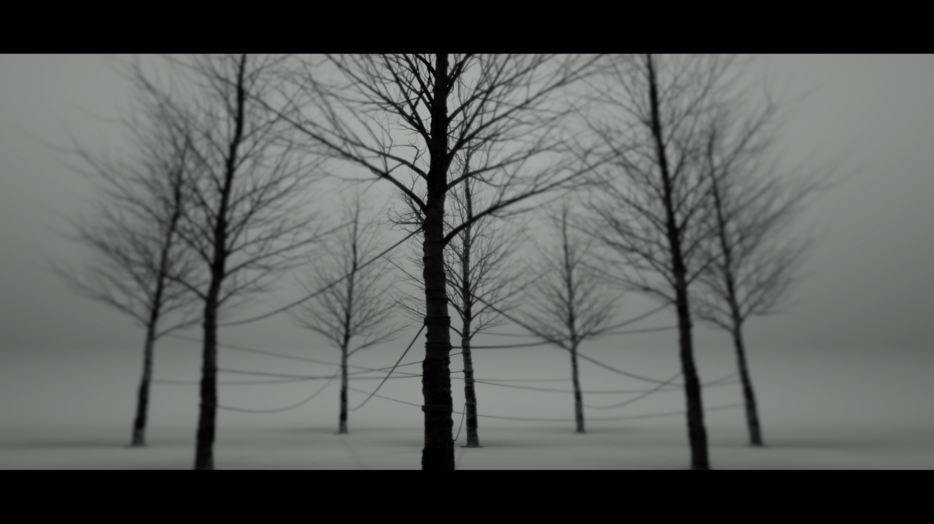 LONELY THE BRAVE