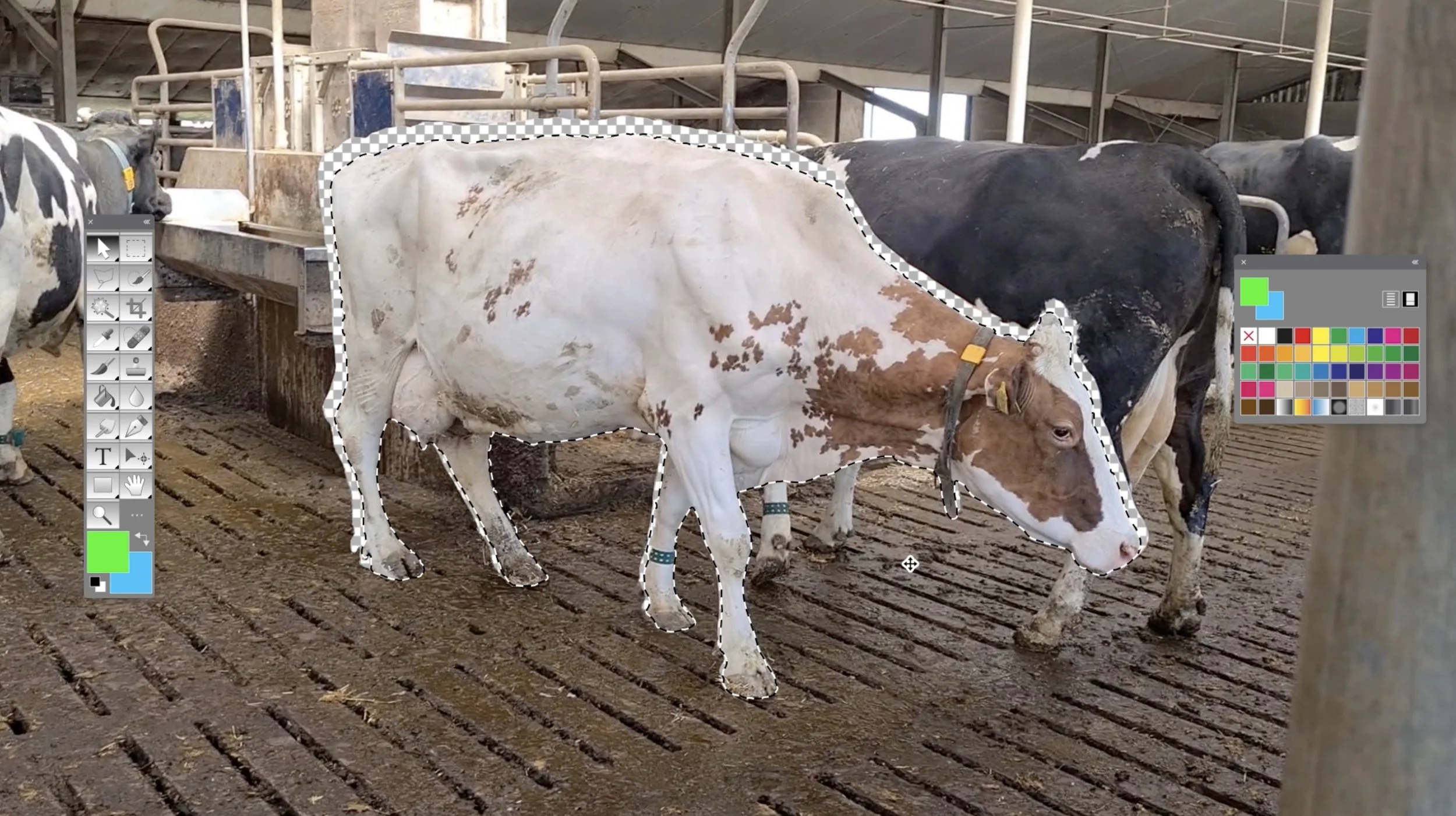 WAKKER DIER : PHOTOSHOP TVC