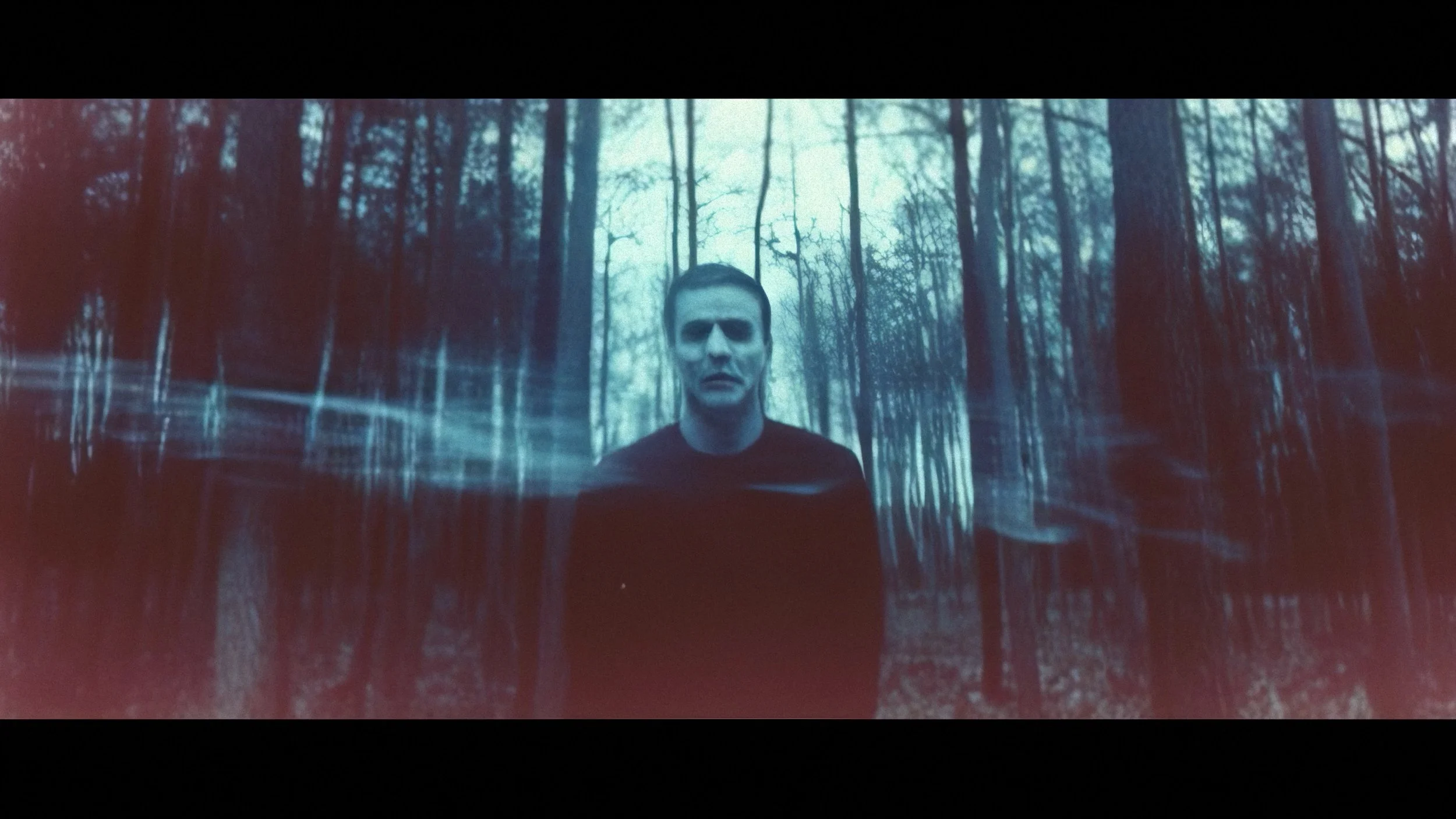 HOLLOW : CATERPILLAR