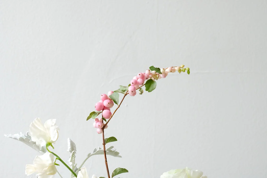 brookewindsorpaper(7of130).jpg