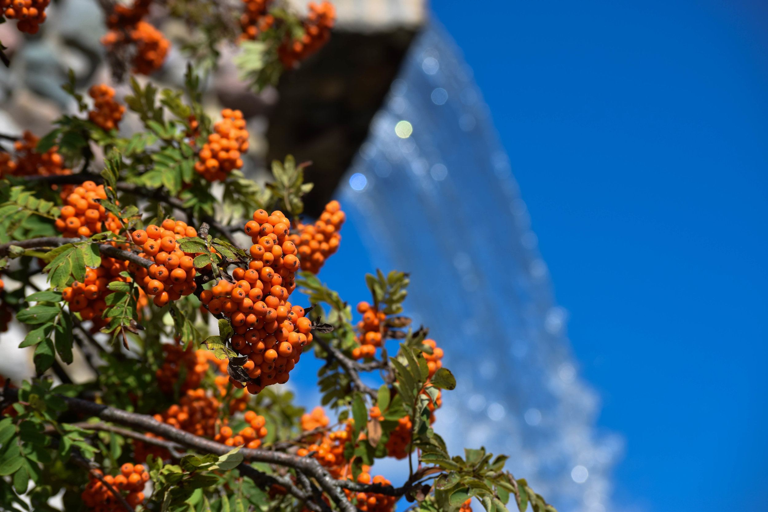 Golf2019_0852.jpg