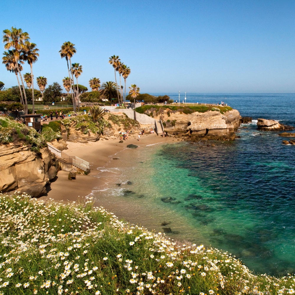 san diego.jpg