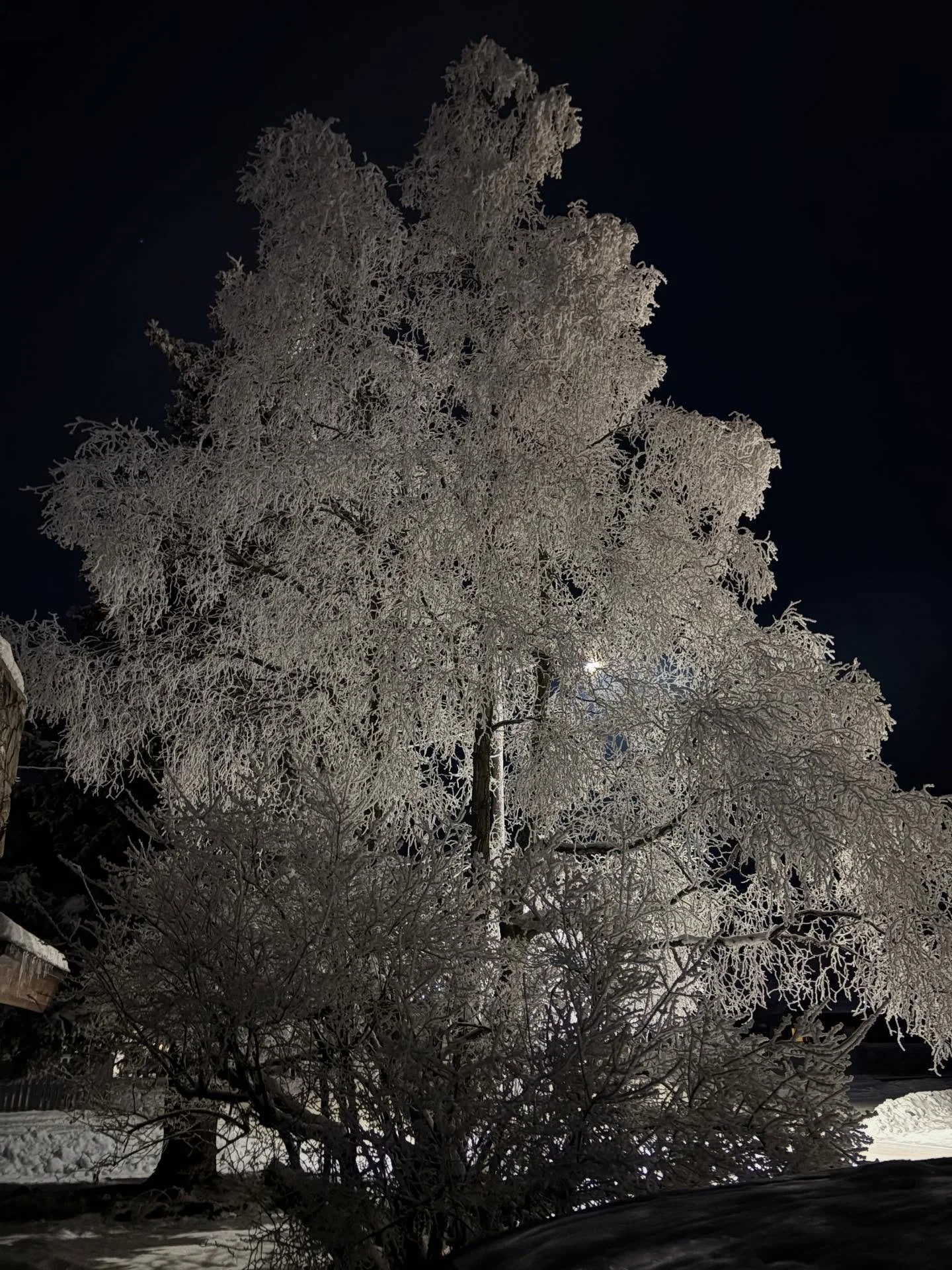 Darkness always becomes more visible this time of year.  The winds brings whispers of change. It&rsquo;s the time of year where the rising darkness speaks through sensations of brisk, cold kisses that sing, &ldquo;please accompany me.&rdquo; Winter a