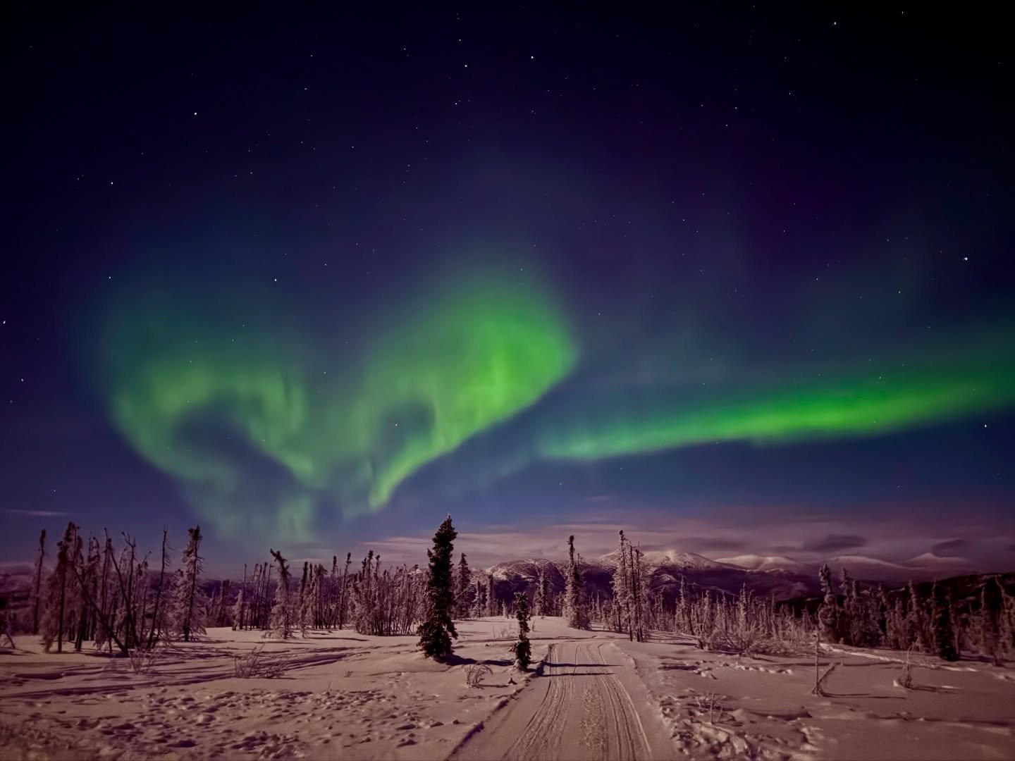 #aurora borealis on a Saturday and the Arizona desert 🏜️ 🌵 on a Sunday. Walk in beauty no matter what surrounds us now. Take a break from the #matrix and rise above the noise for the rarified air that we all need to breathe now. Our #nervoussystem 