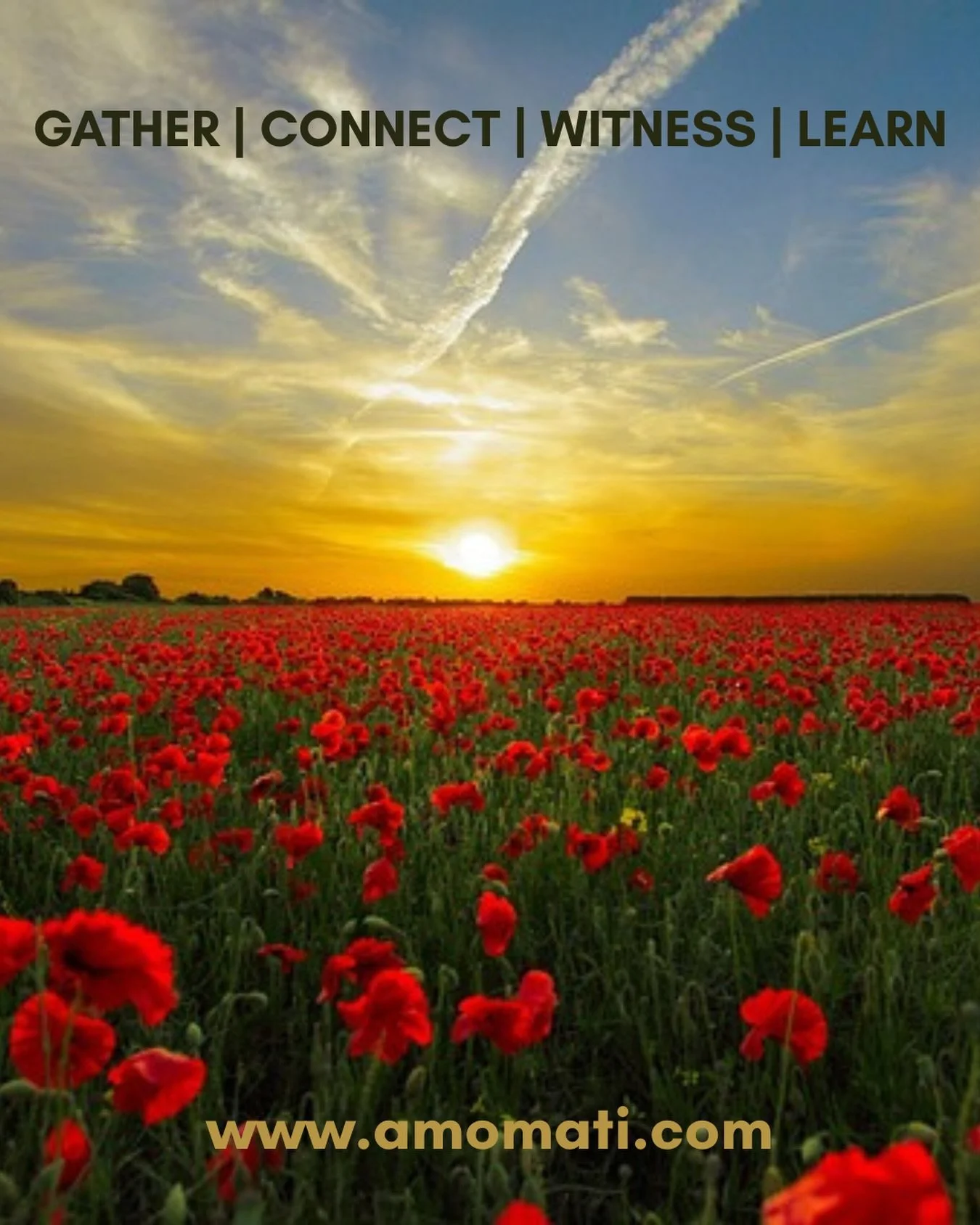 I have been absent from IG for a time.  I&rsquo;ve been busy creating - a new business name aligned with our futures and new courses coming to you online and in person! 

A quote to inspire us all: &ldquo;Our past is not our potential... one by one, 