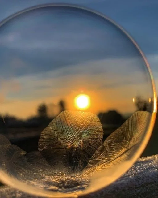 What is required of us in our time
is that we go down
into uncertainty
where what is new is old as every morning
and what is well known is not known as well.

That we go down
into the most human
where living men have vanished
and the music of their m