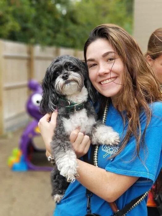 Doggy Daycare — FYDOLAND