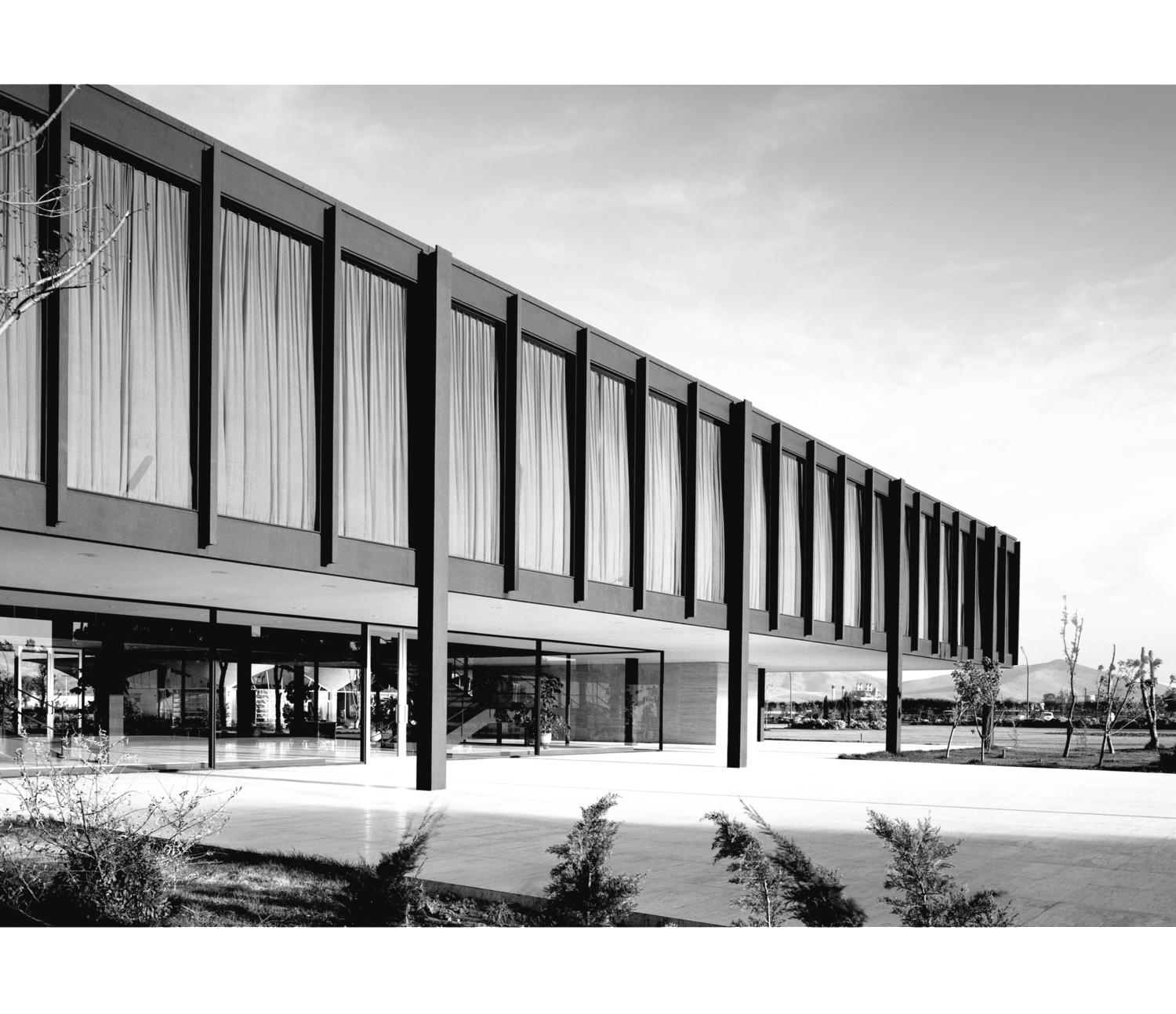 Mies Van Der Rohe Bacardi Building The Modernist Collection