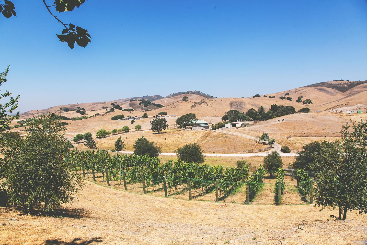 SkyviewLosAlamosFathomAugust2018-8889.jpg