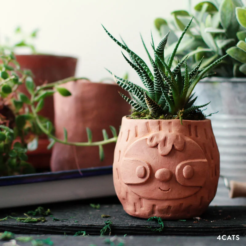 sloth_planter1.jpg