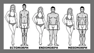 Are you an Endomorph?