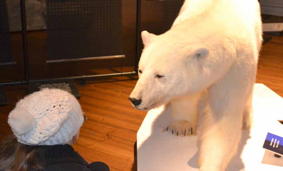 Ikke bare se, men også føle