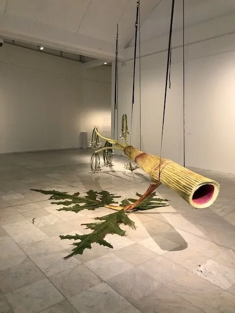 Installasjonsbilde fra Flora mellom planter og mennesker utstillingen i Stavanger Kunstmuseum. Ingela Ihrmans, The Giant Hogweed. Foto: Arnhild Sunnanå