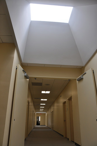 TP Skylight.jpg