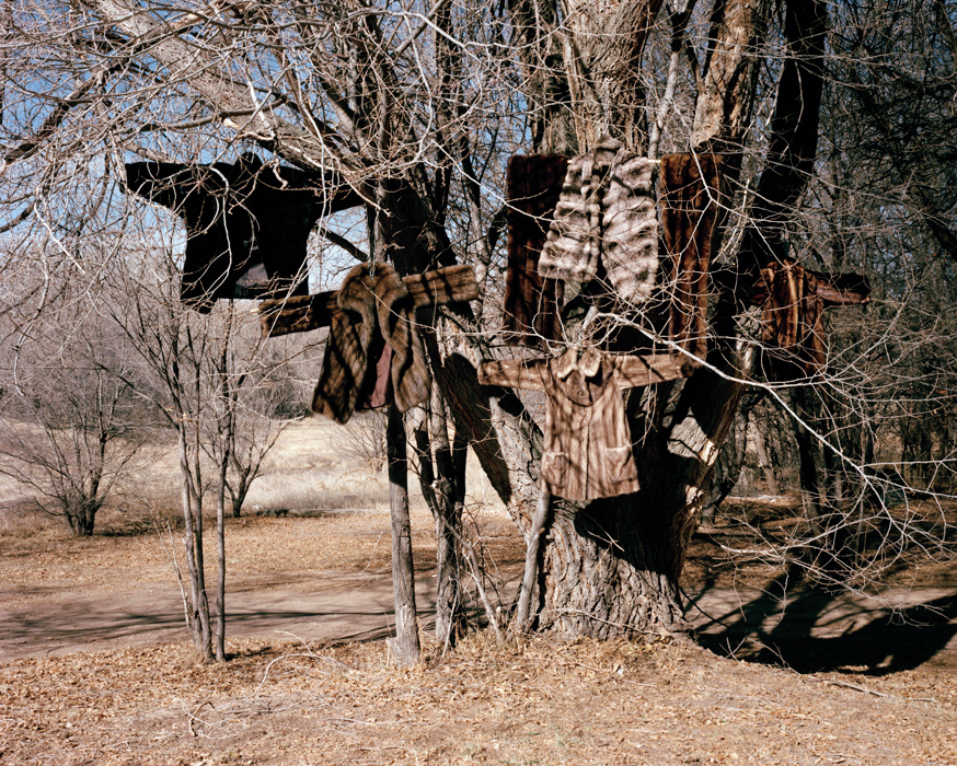 Mother's Furs returned to the wild, Santa Fe, NM