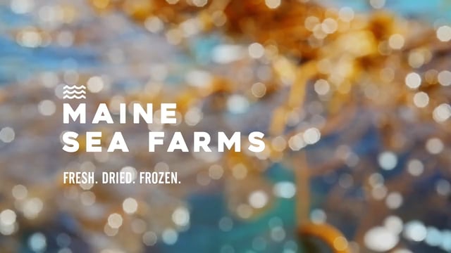 Maine Sea Farms