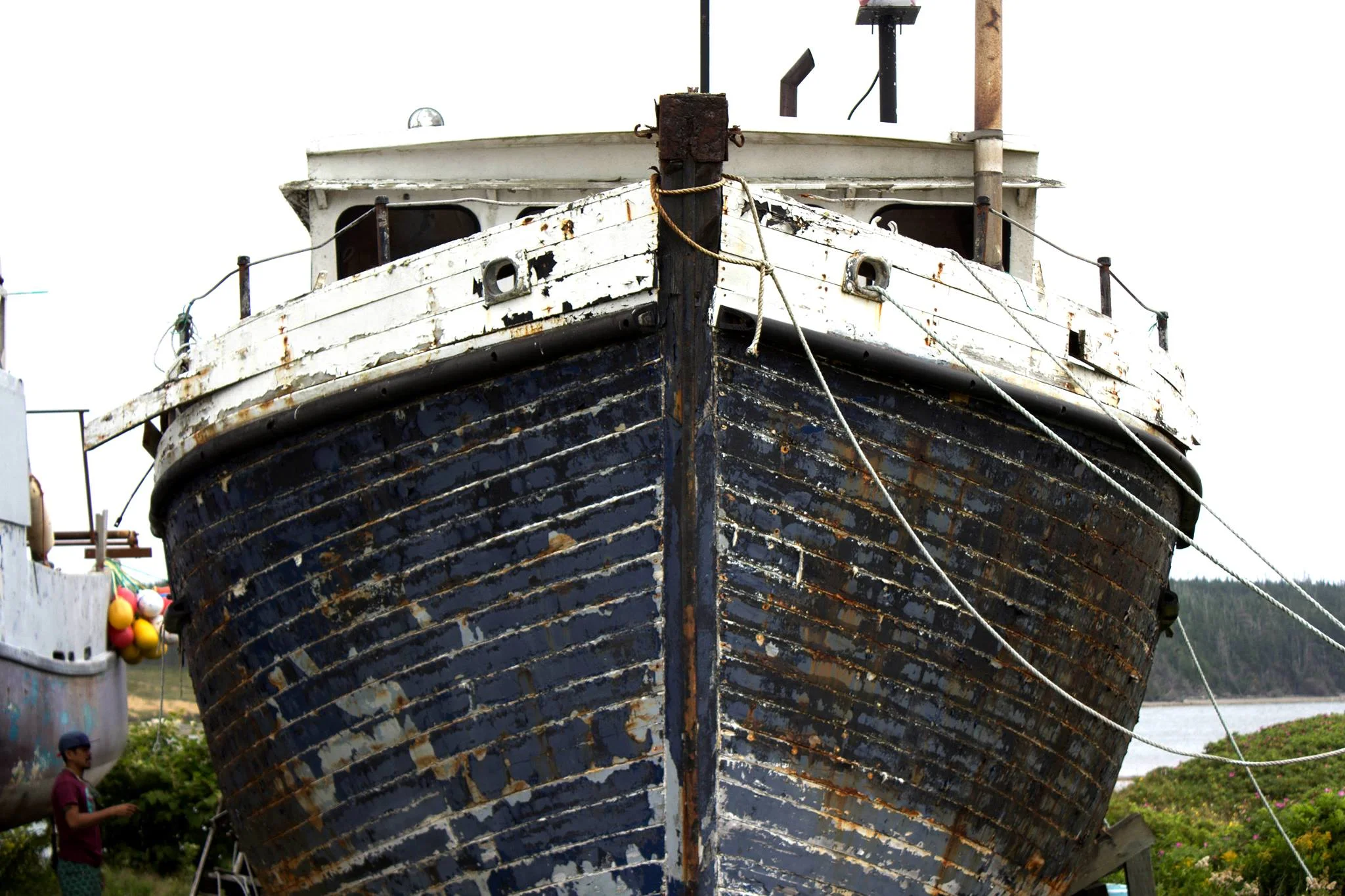 Boat.jpg