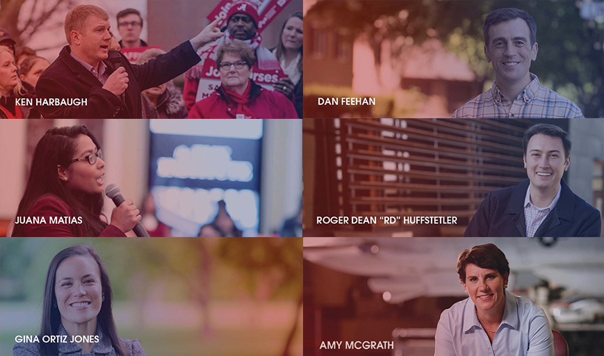 nplafellows.png