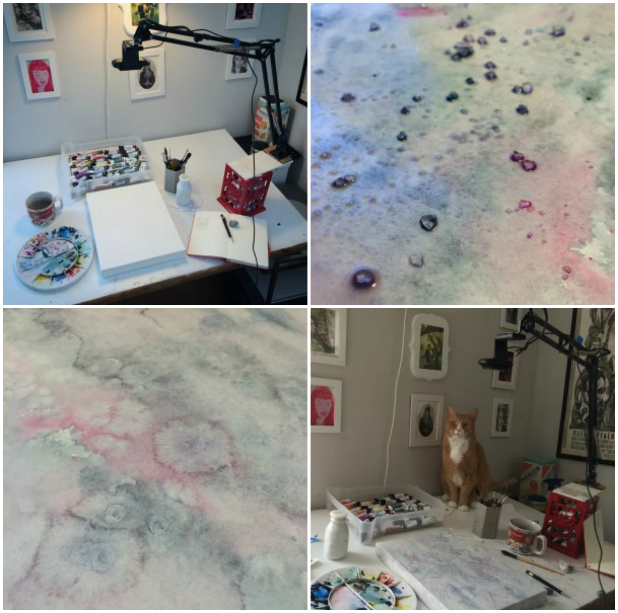 iPiccy-collage.jpg
