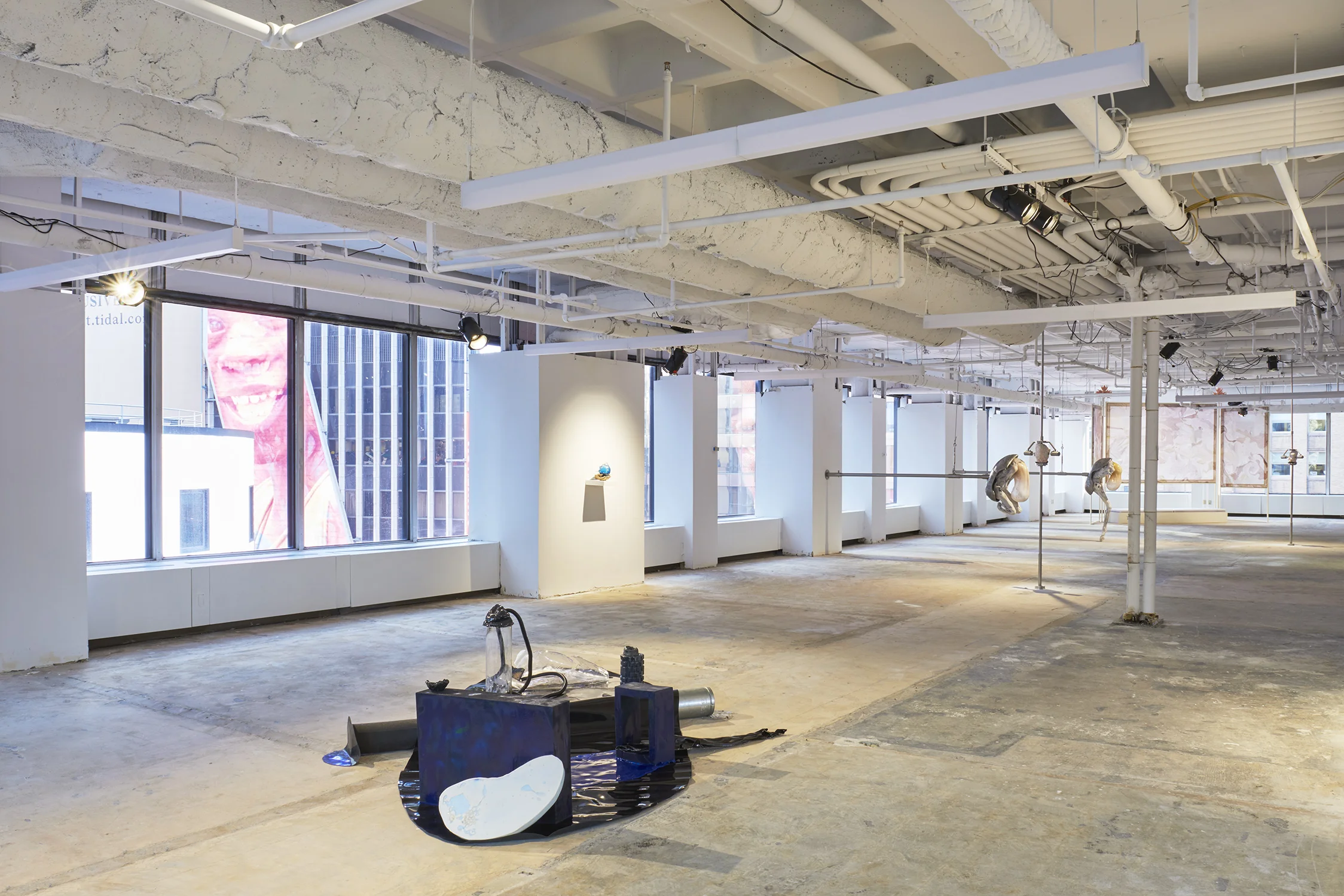 Install_shot_5.jpg