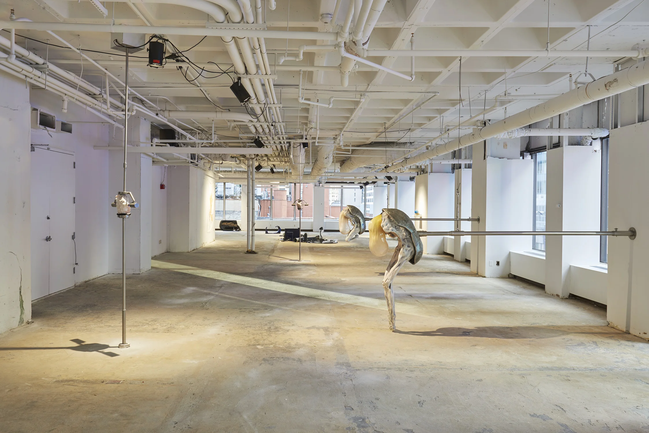 Install_shot_10.jpg