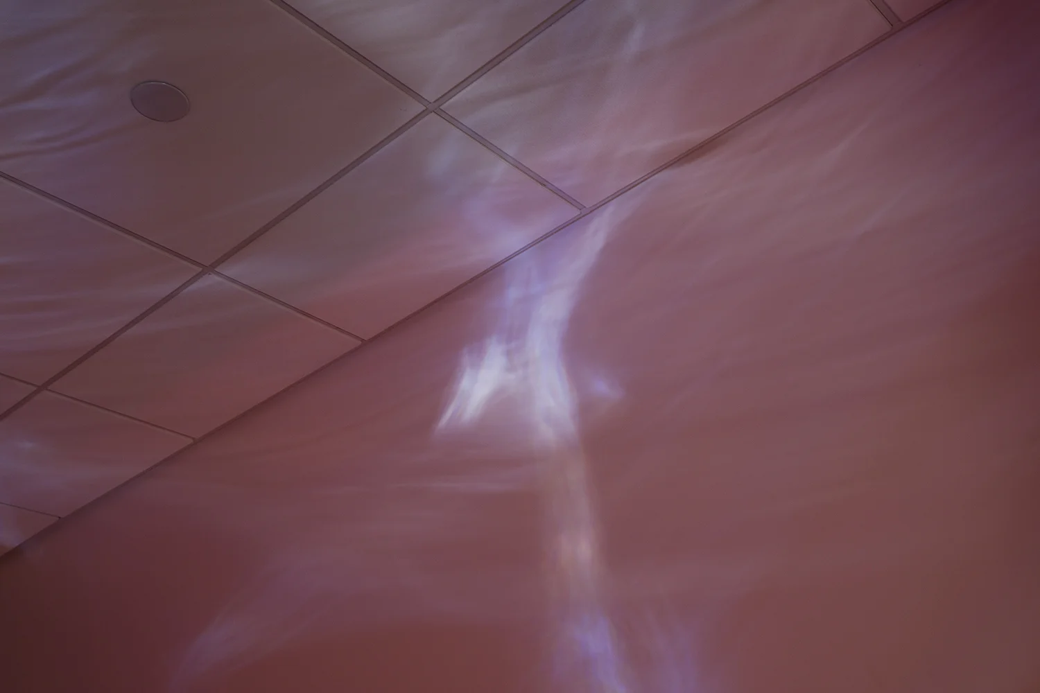 SP #1_0195.jpg