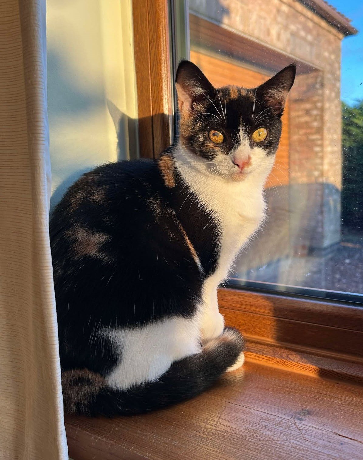 Pip Clark.jpg
