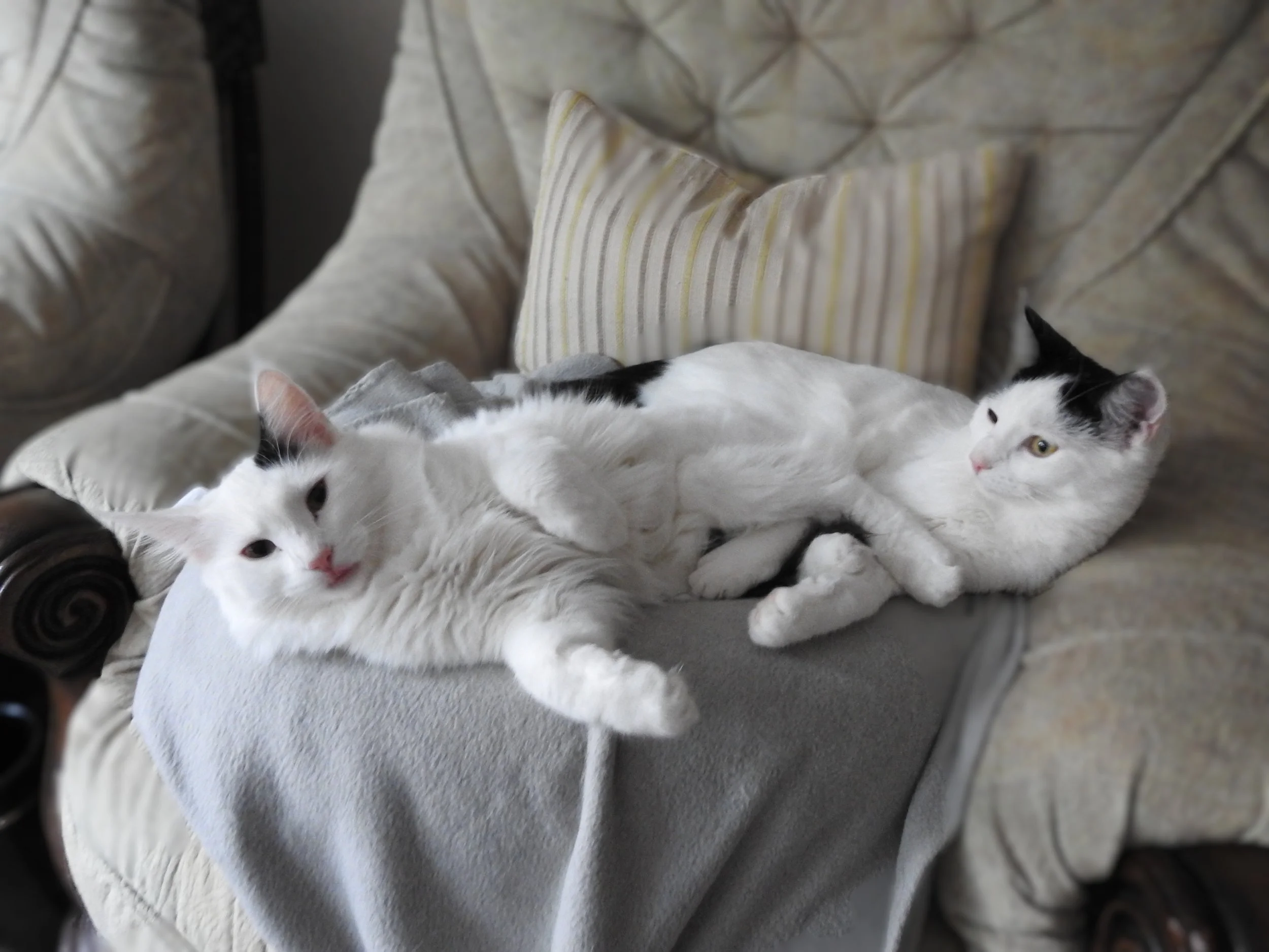 Charlotte & Danielle2.jpg