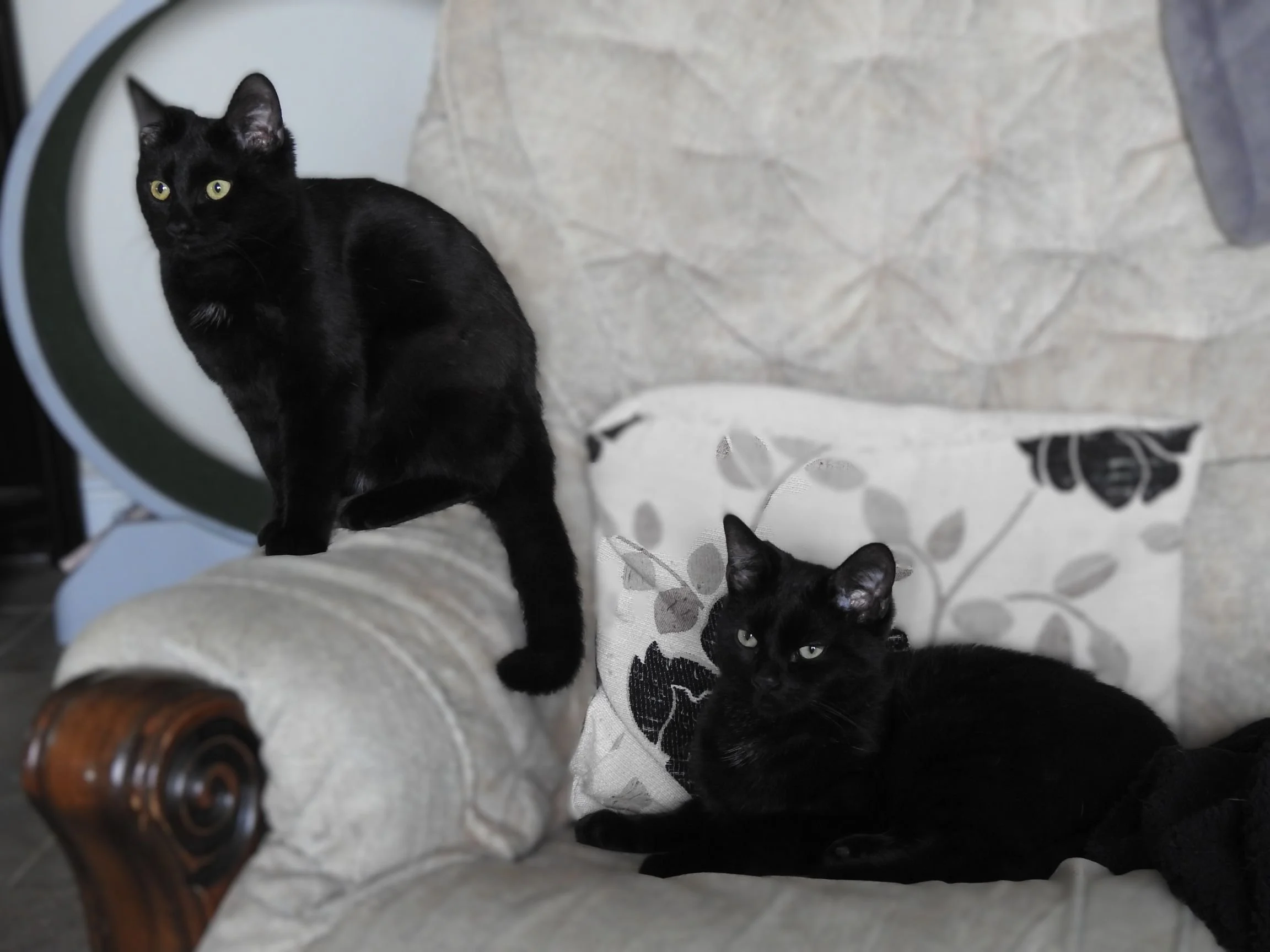 Victoria & Albert.JPG