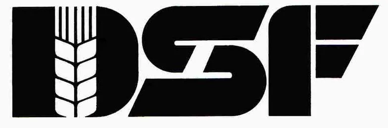 new_DSF_logo.jpg