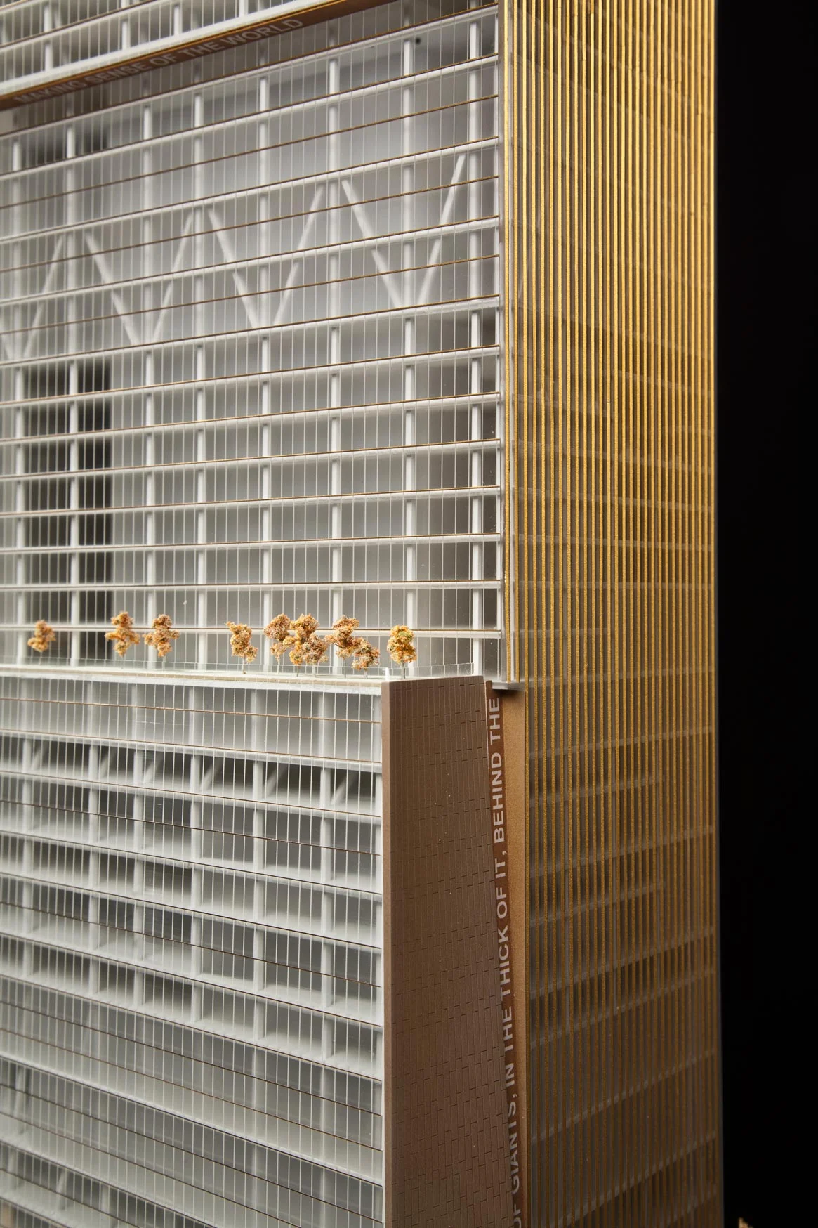 Web_radii_BIG_wtc2_1_8.jpg