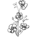 flax seed flowers illustration