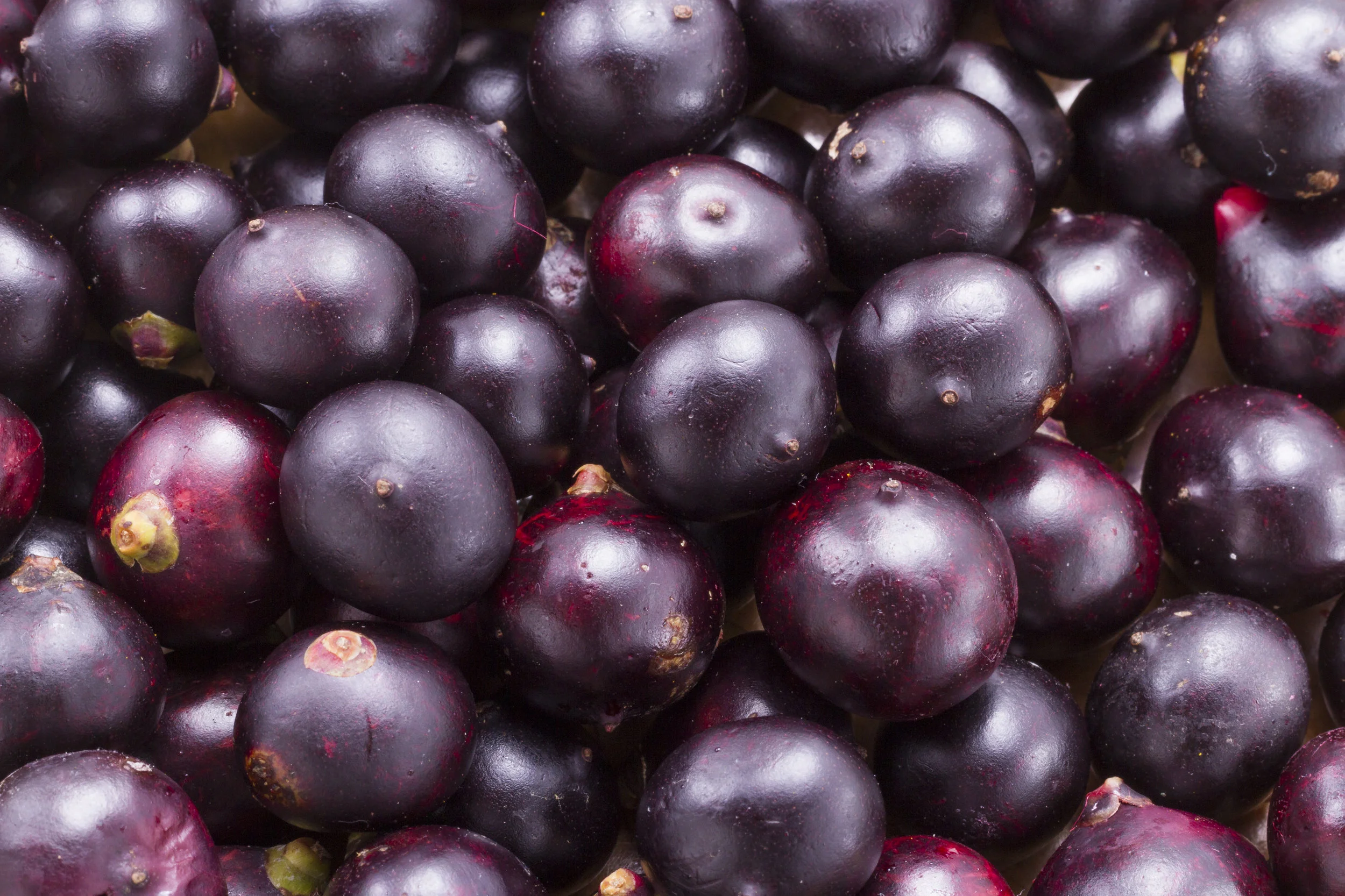 Acai Berries