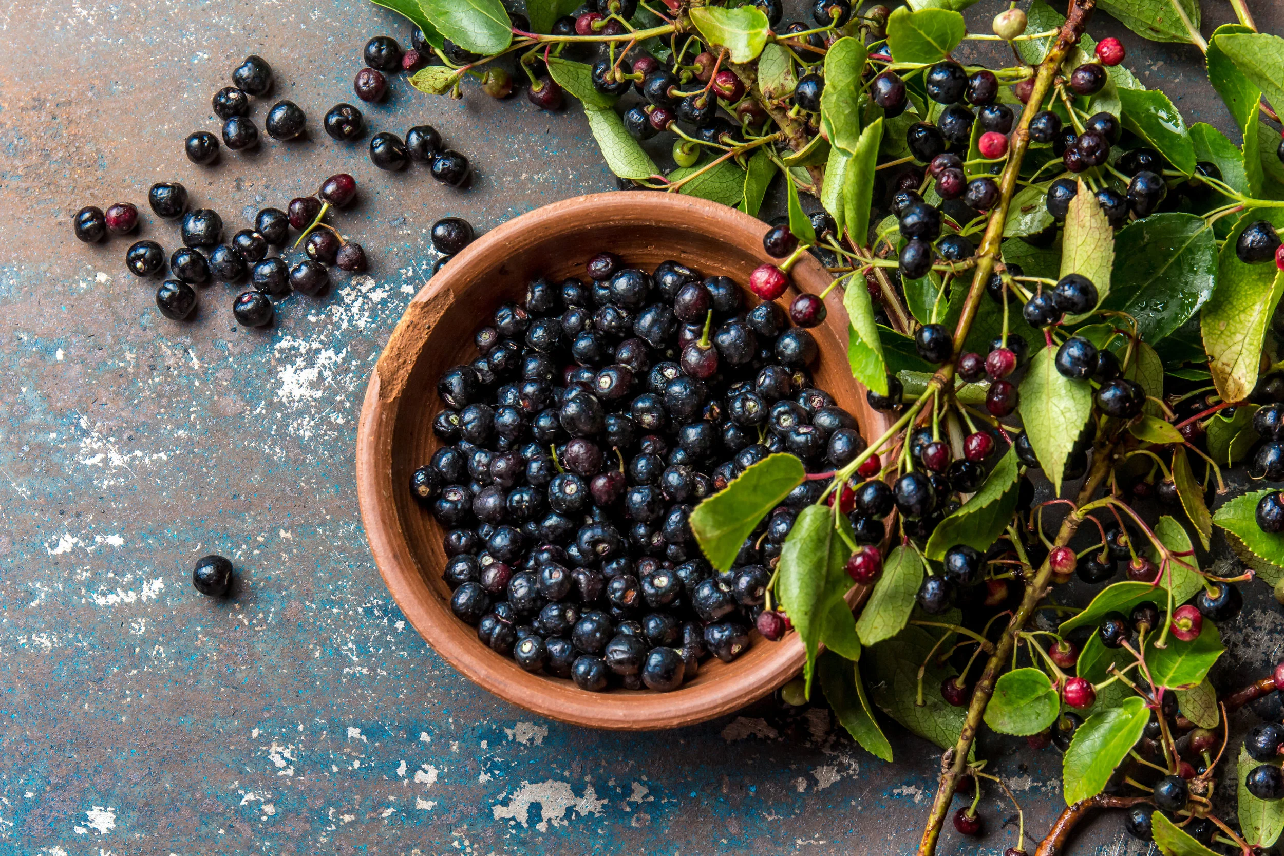 maqui berries