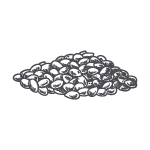 Hemp-Seed-Illustration---150x150.png