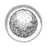 Matcha-Powder-Illustration-150x150-12.png