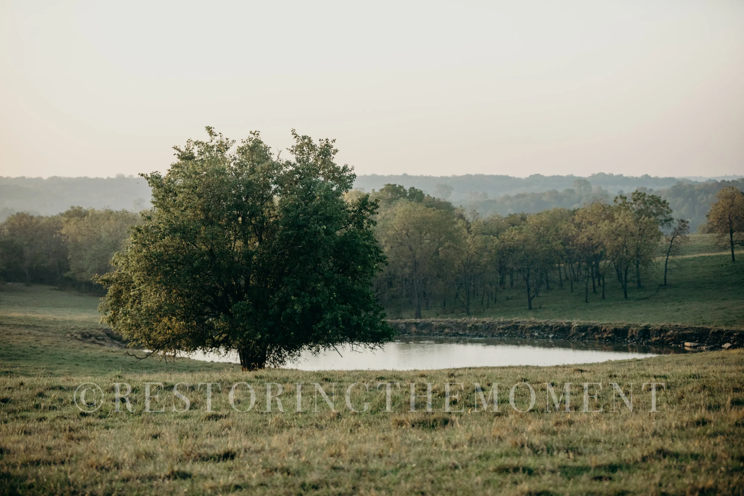 RTMwatermark-32.jpg