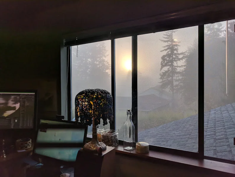 officeView.jpg