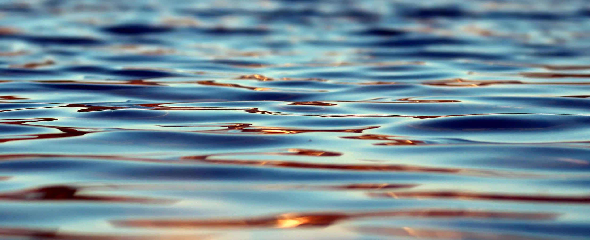 Joint venture to launch French tidal energy project