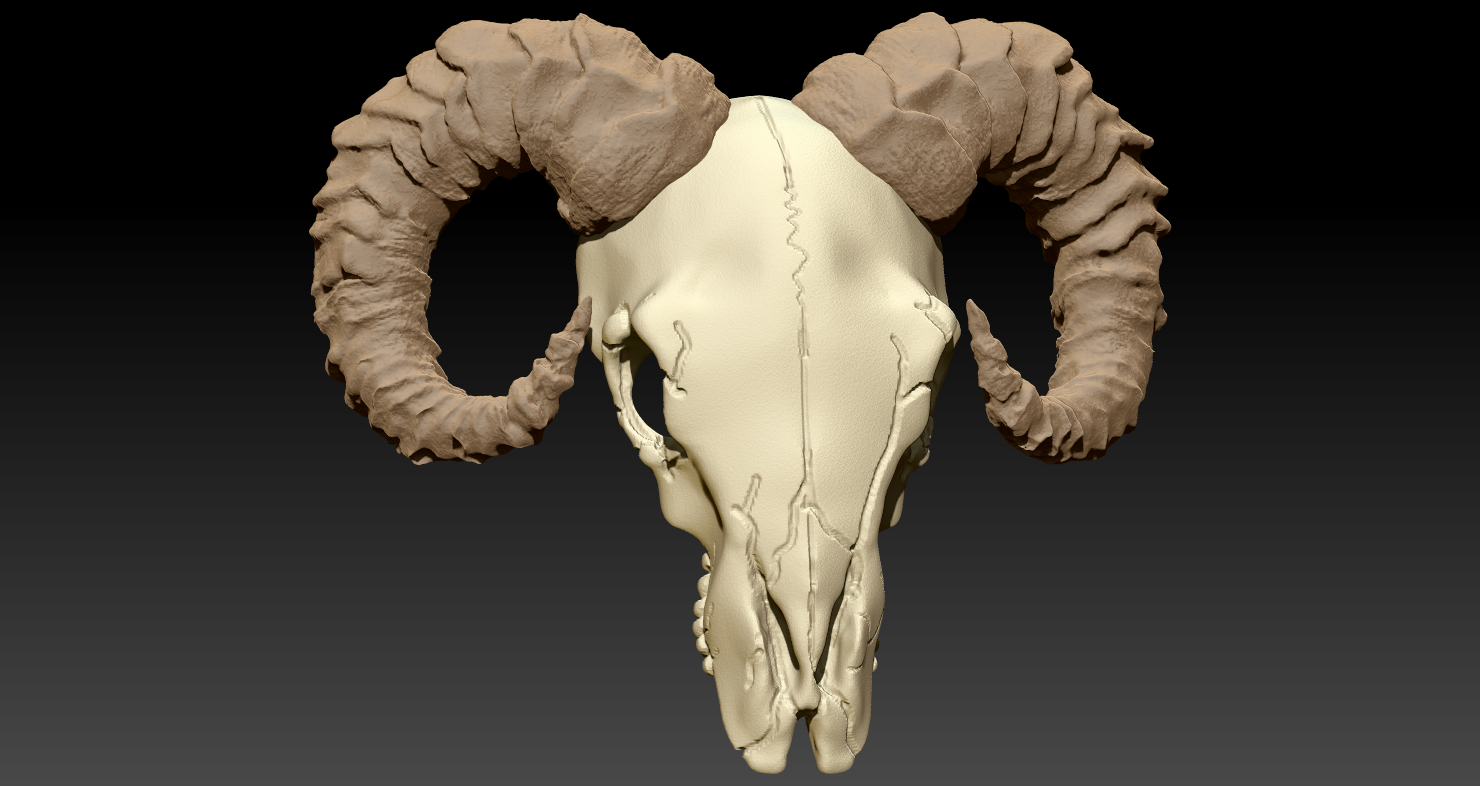 Project Ebonblade Ram Skull 3D Printable .STL