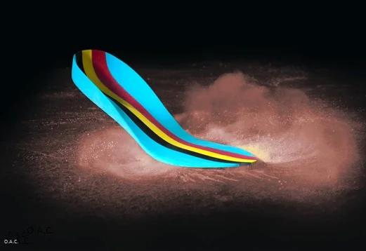 sole in dust with ref.jpg