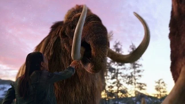 META-IWBRA-60-Vignette