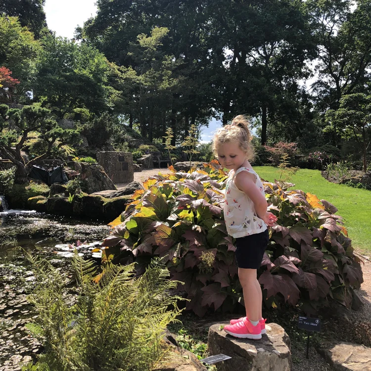 solo-parenting-1.jpg