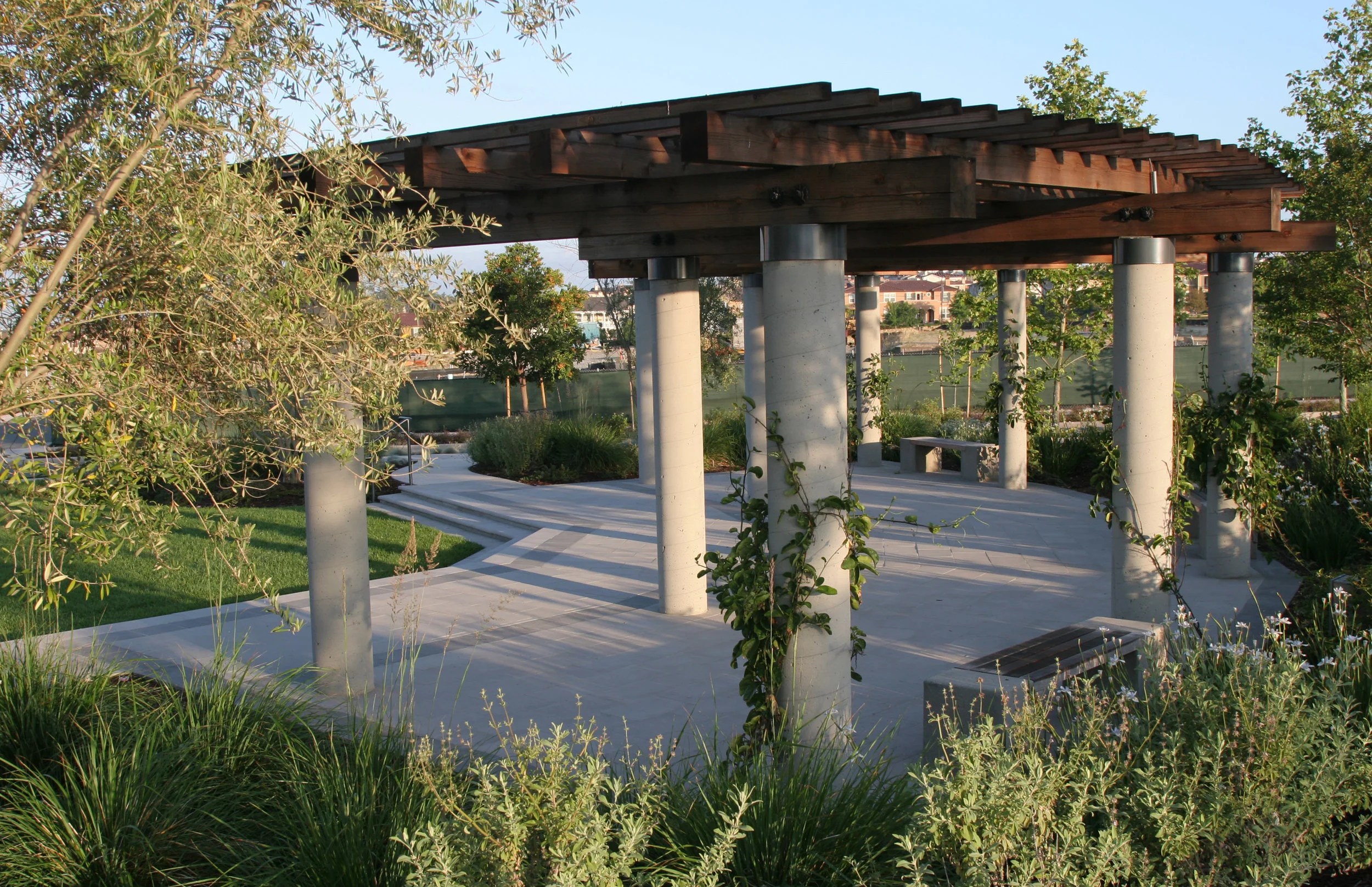 Spreckels trellis10.JPG