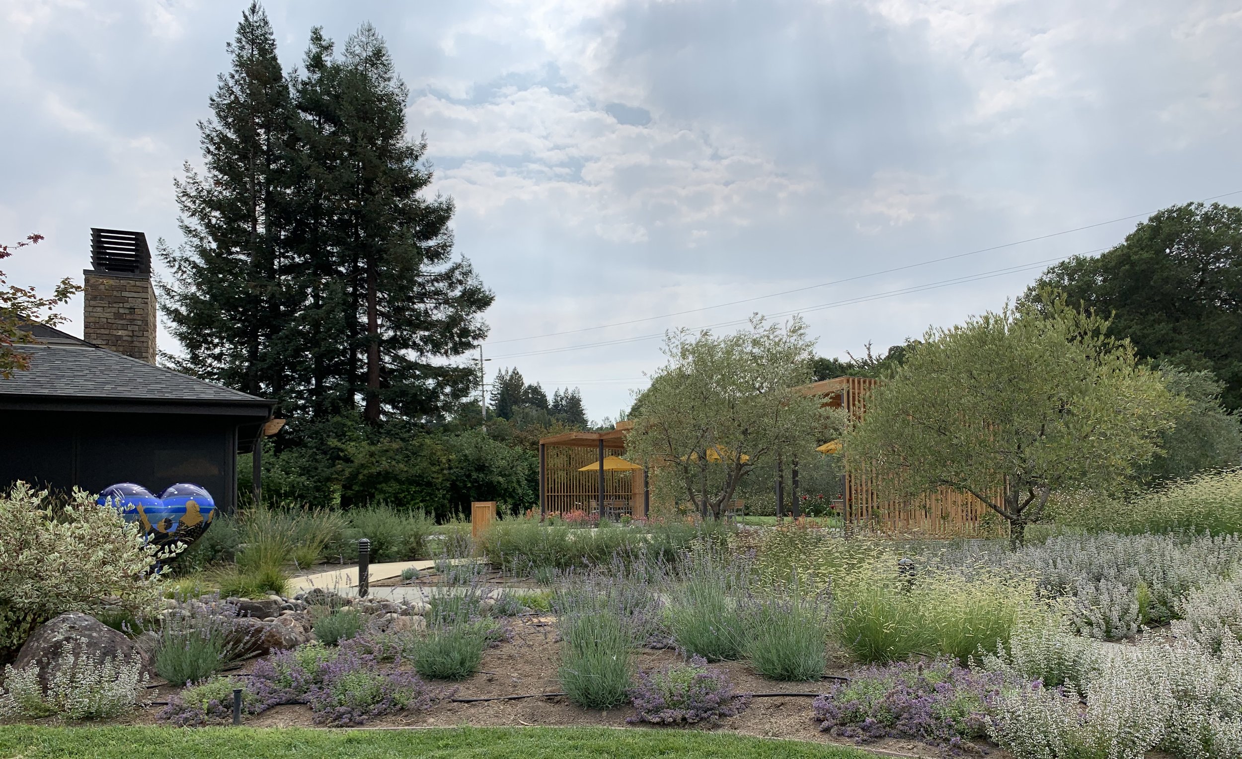 lynmar grasses heart trellis.jpeg