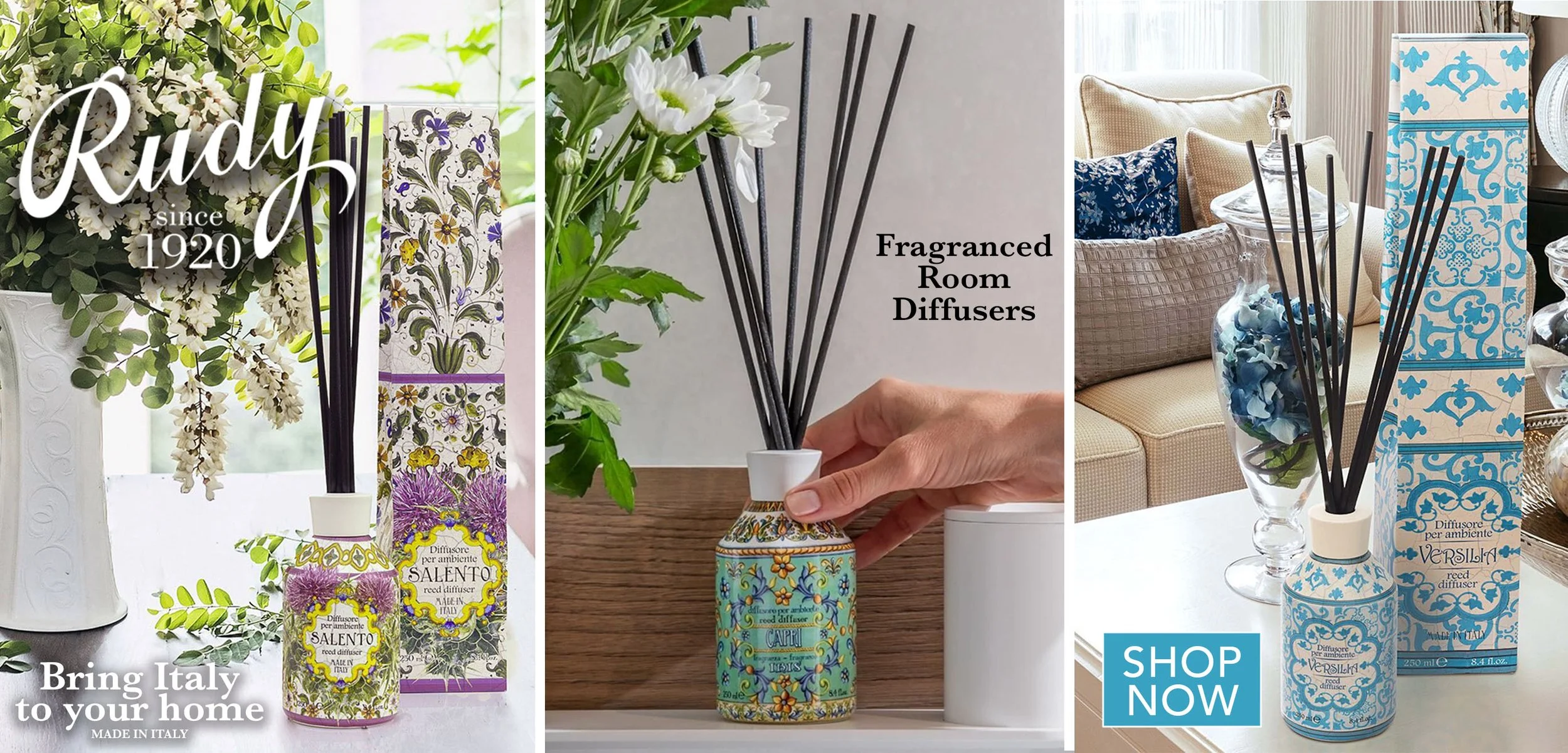 Header Image__RUDY Diffusers -2026.jpg