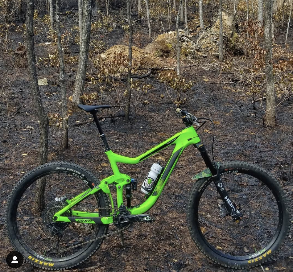Fern Mountain Bike Mudguard