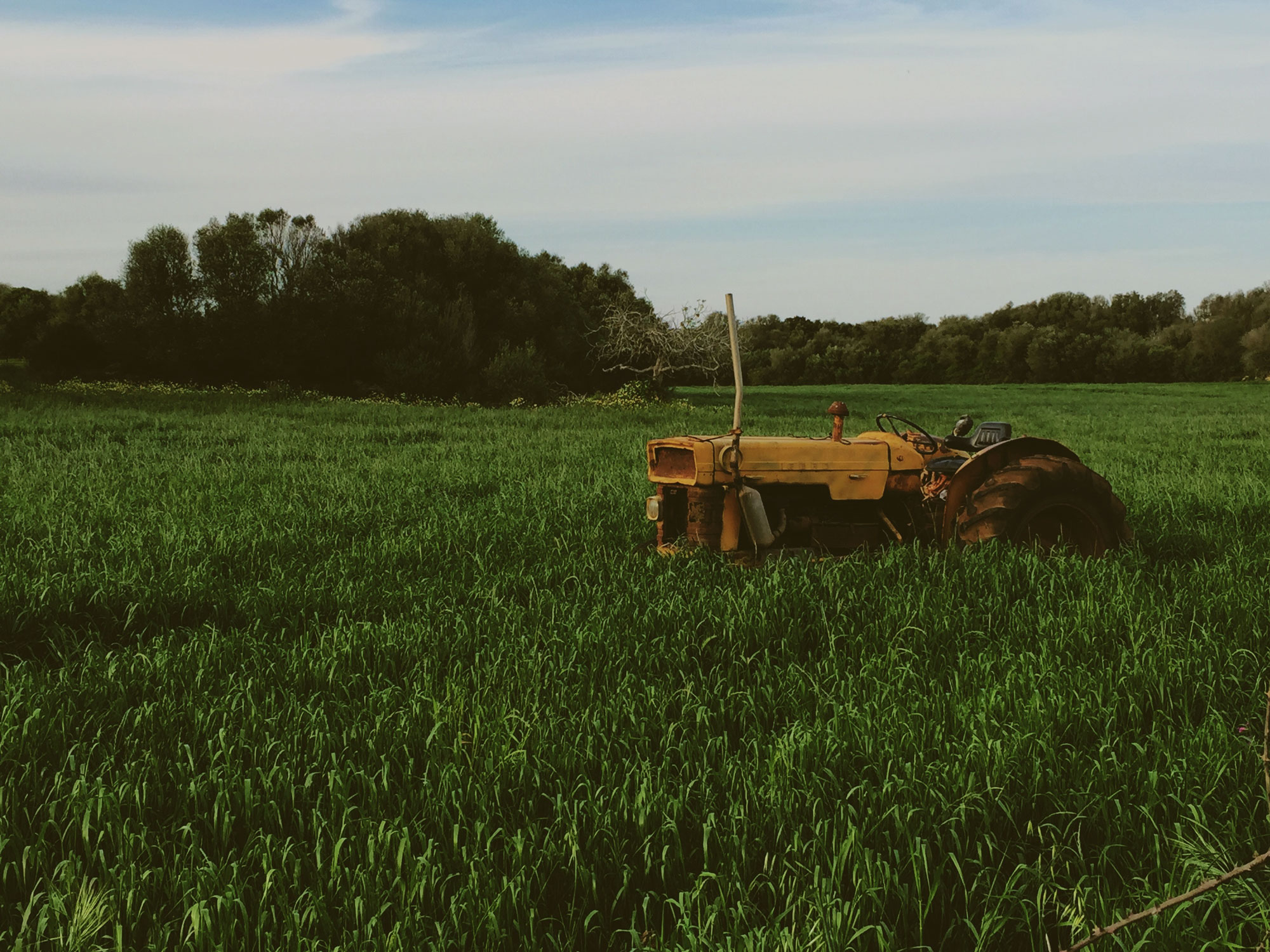 tractor.jpg