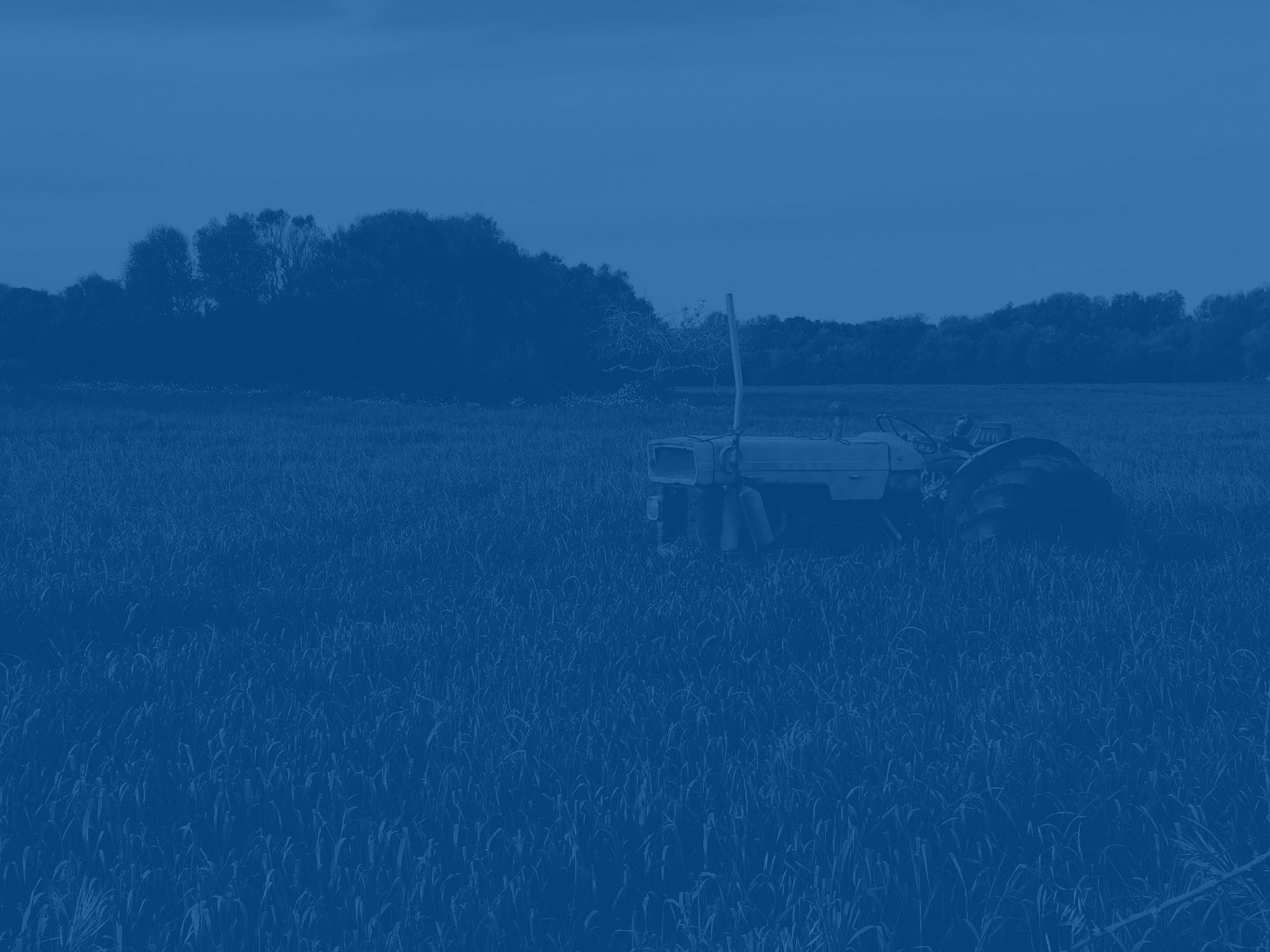 sustainability-banner.jpg