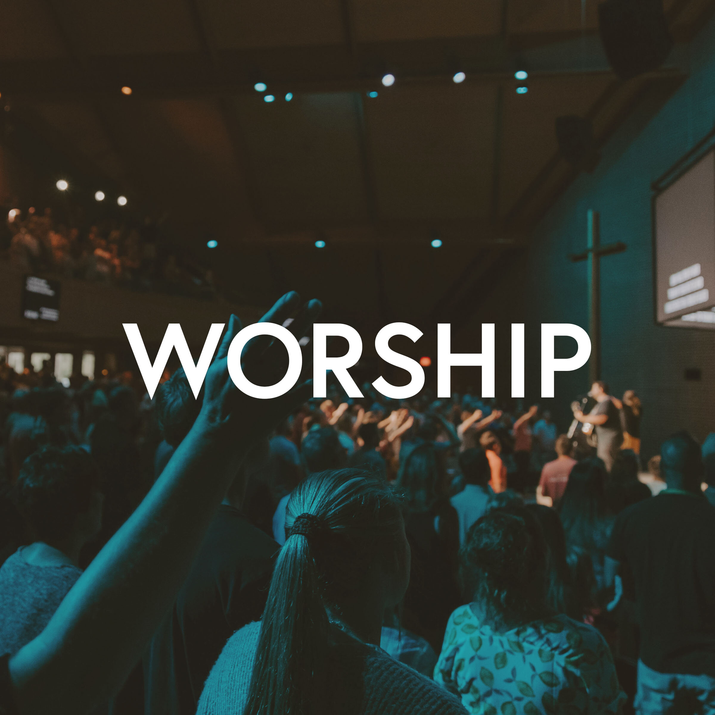 Worship - web.jpg